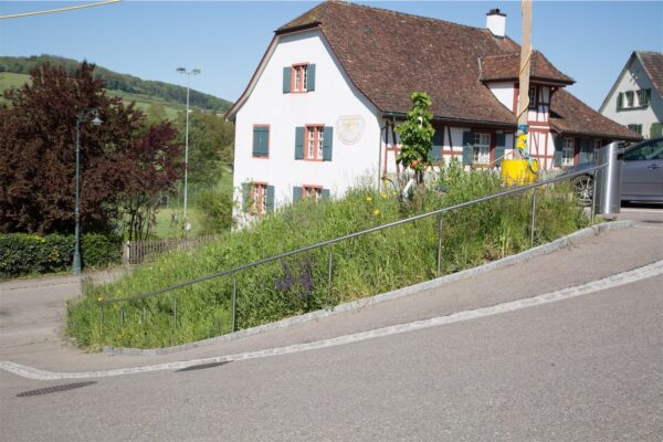 Handlauf bei Gehweg in Arisdorf